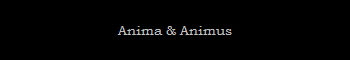 Anima & Animus