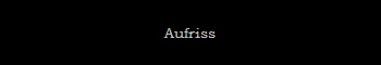 Aufriss