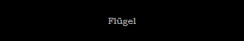 Flgel