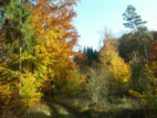 Herbstgold