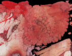 click to see the full picture