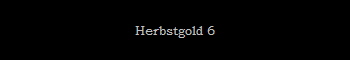 Herbstgold 6