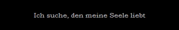 Ich suche, den meine Seele liebt