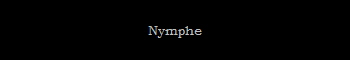 Nymphe