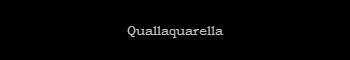 Quallaquarella