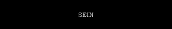 SEIN