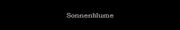 Sonnenblume