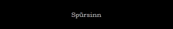 Sprsinn