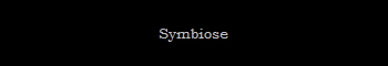 Symbiose