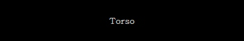 Torso
