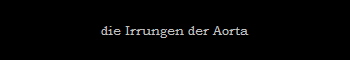 die Irrungen der Aorta